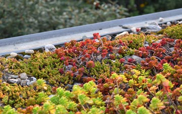 the cost of Bucklebury Alley green roof installation