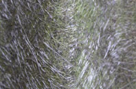 Bucklebury Alley fibreglass roof work